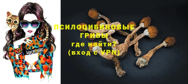 МДМА Белокуриха