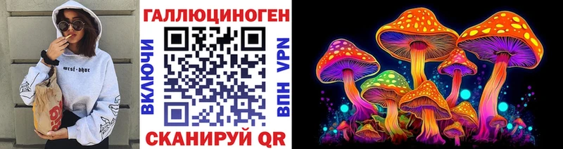 закладки  Бокситогорск  Галлюциногенные грибы Psilocybe 