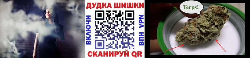 Конопля OG Kush  Бокситогорск 